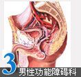 男性功能障礙科